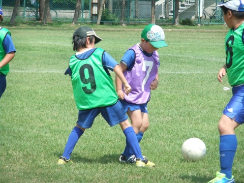 08e6c96e9a5e7525cd59d6bf81f2aea9