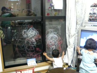 幼稚園で水遊び