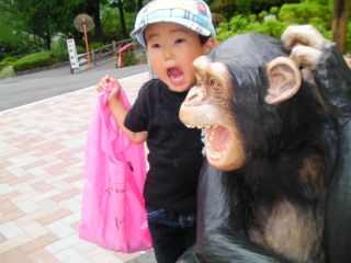 動物園＆ヨーカドー