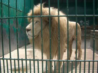 サファリパークへ