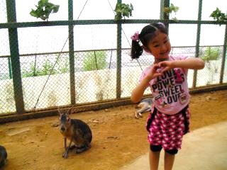 サファリパーク２日目＆福島空港