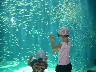 アクアマリン福島で釣り