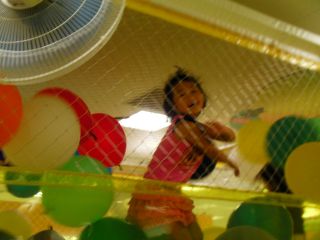 草刈り＆生おじちゃんにプレゼントをもらう