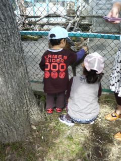 久々の動物園