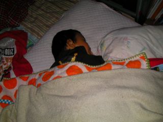 ピューロランド