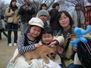 ライオンの赤ちゃん