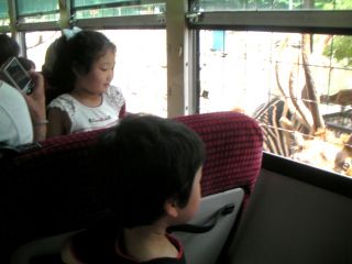 那須サファリパークへ