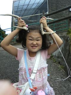 ようやくシカになった元哉