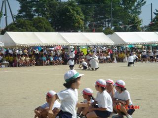 遥の運動会