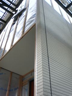 バッタを逃がす