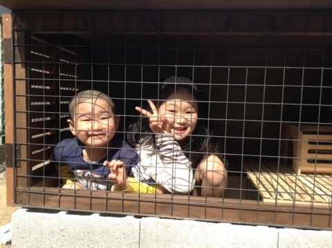 うさぎ小屋完成