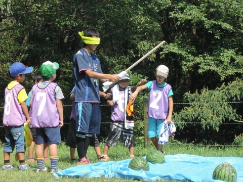 7d22baf53e45be0af64d8d9b6cb4dcad