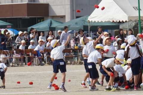 2014田尻小運動会