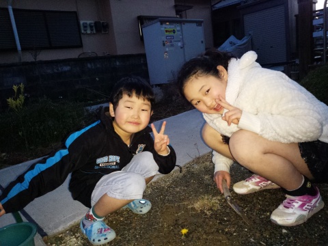 あのタンポポが！？