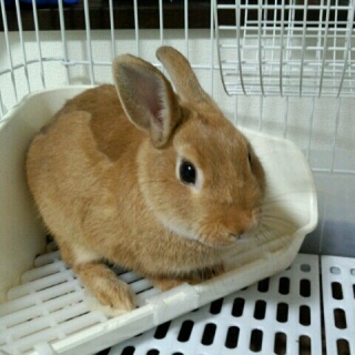 u6b4b0b26d3fe689798c795fdc9cb0b2a