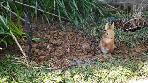 さよならこなつ