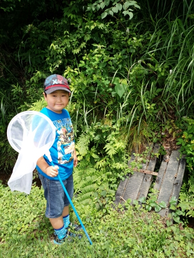 wp-1467123372258 image